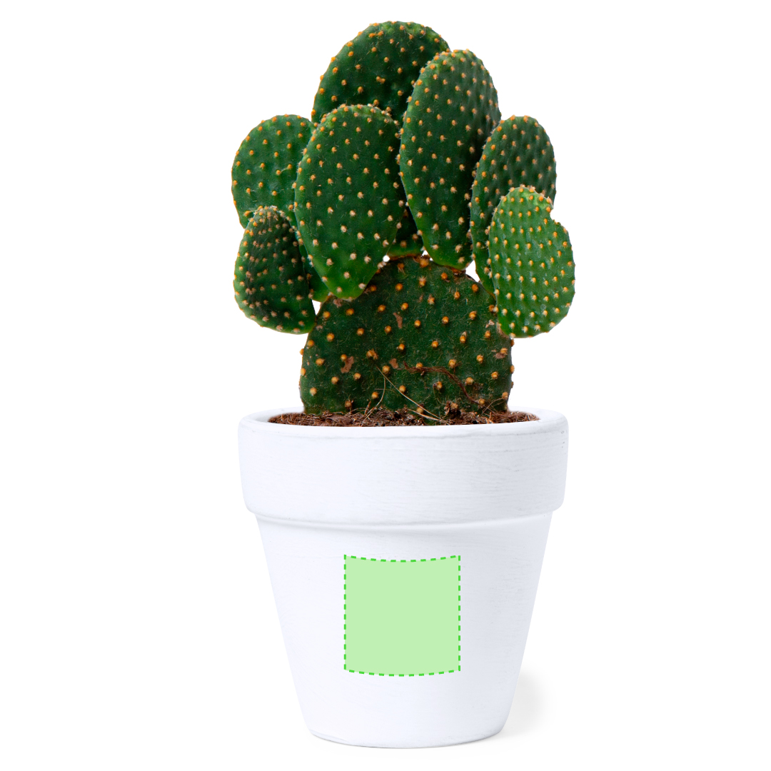 Flowerpot Konte