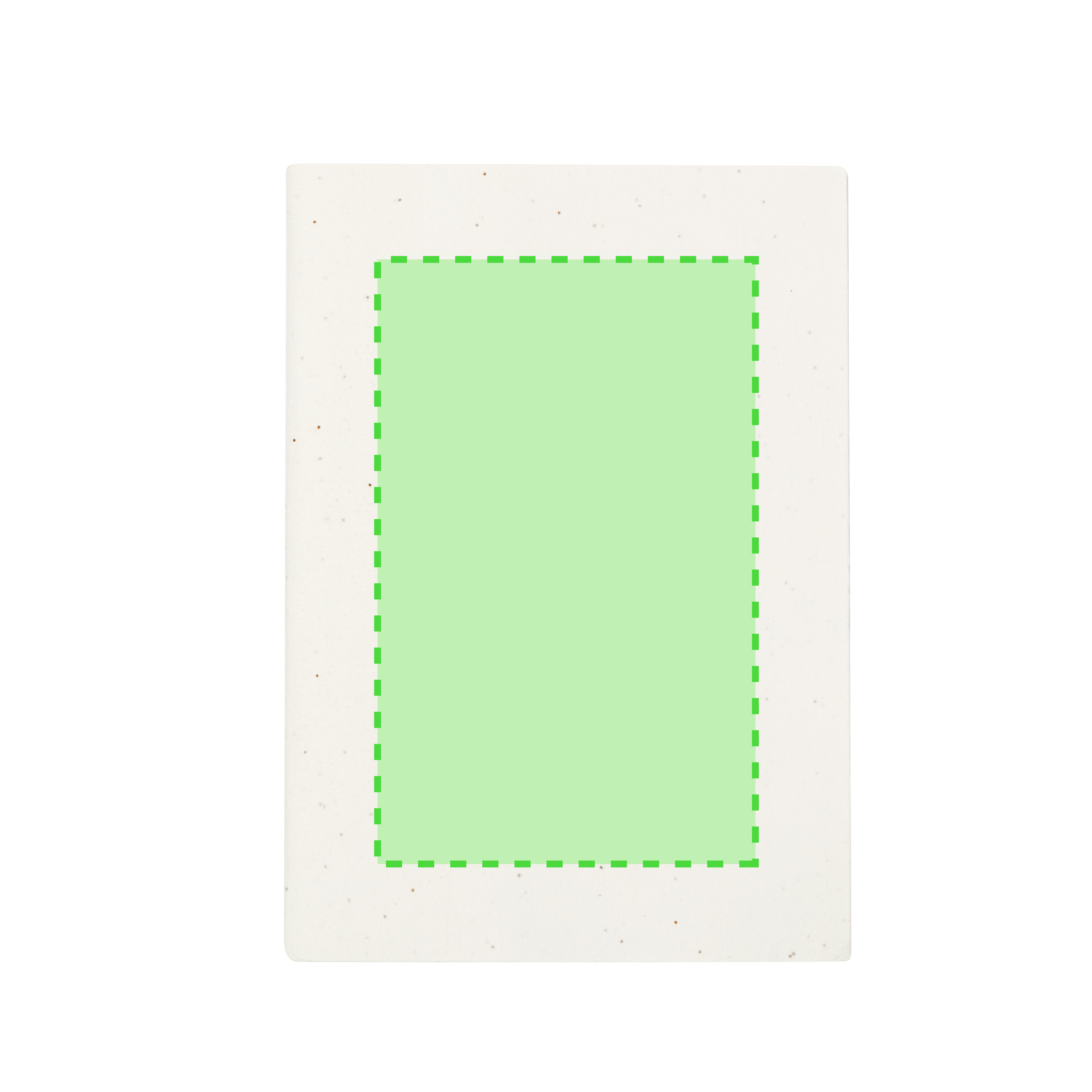 Seeds Notebook Derna
